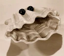 Giant Clams