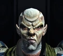 Obisek
