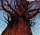 Tree of Life