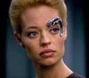 Seven of Nine