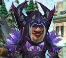 Valorous Frostfire Garb