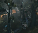 Netherweb Ridge