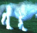 Lupos