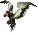 Arctic condor