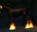 Illusionary Nightmare