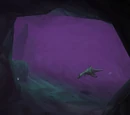 Forgotten Pool