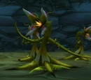 Constrictor Vine