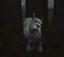 Baron (NPC)