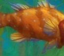 Glittergill Grouper