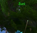 Zuni