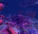 Deepfin Ridge