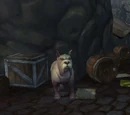 Wary Mastiff