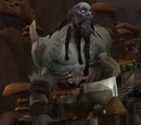 Warrior of the Frozen Wastes