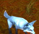Highlands Fox