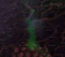 Fel Cone