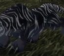 Moonstalker Runt