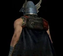 Dragon Knight's Cloak