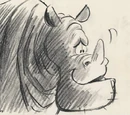 Rhinoceroses