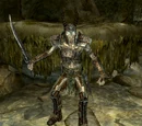 Draugr Death Overlord