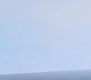 Chocobo's Paradise