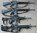 Gun