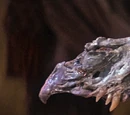 SkekSo