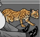 Baboo.png
