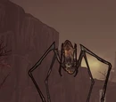 Dexiduous the Invincible