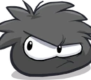 Black Puffle