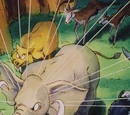 Animal