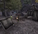 Walker Camp