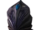 Shrine of Kynareth