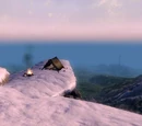 Dive Rock