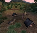 Fat Rat Camp