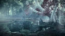Winterfell Godswood.jpg