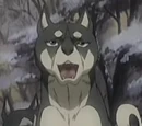 Ryo