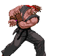 Street Fighter