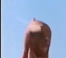 Commander Crayfish