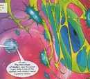 Wormhole