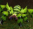 Forest Moss Creeper