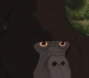 Kerchak