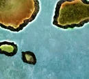 Elves