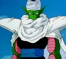 Piccolo