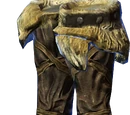 Predator's Grace