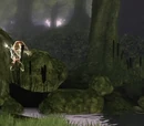 Gnomes are Evil!