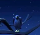 Ninjago animals