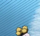 Wind Release