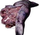 Split Worm