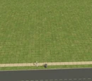 Tutorial:Building a basement