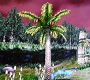 Dumbledang Tree